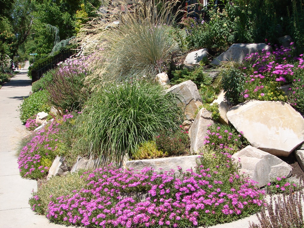 xeriscaping landscape